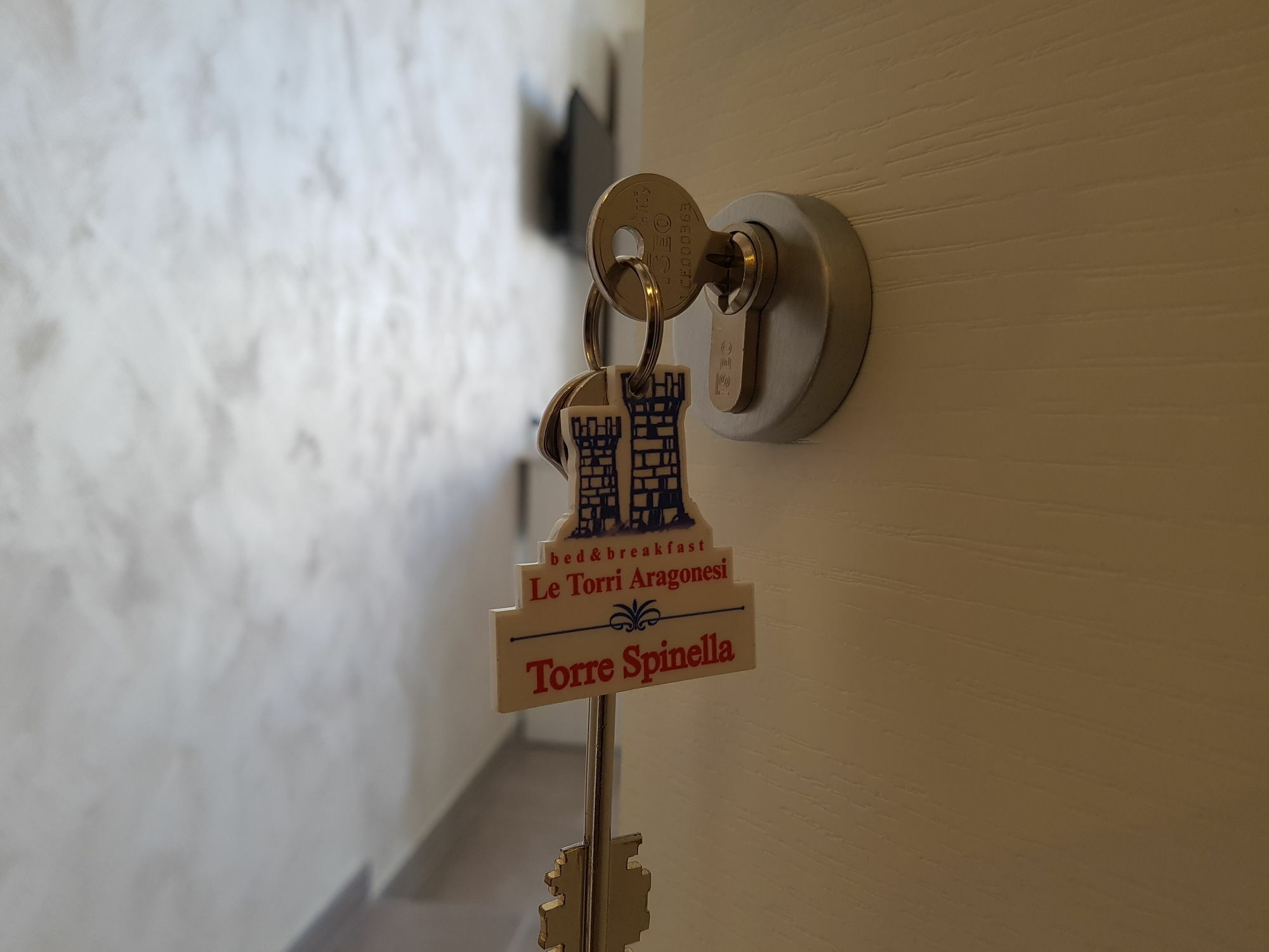 ナポリ Le Torri Aragonesi Bed & Breakfast エクステリア 写真